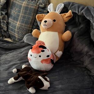 Squishmallows Orange, dog,Black Fish Plush set of 3!!